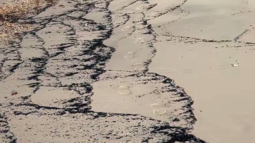 Çanakkale'deki büyük yangının izi Edirne'de: Kıyı şeridi küllerle kaplandı 7